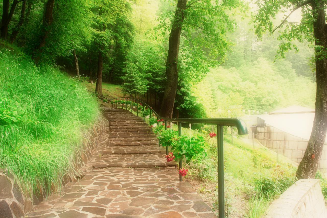 Hotel Nemira Slănic-Moldova Esterno foto