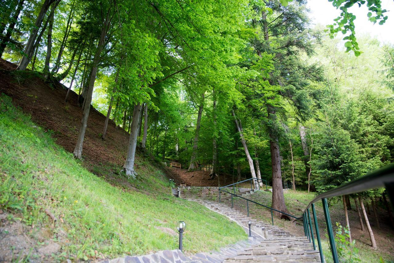 Hotel Nemira Slănic-Moldova Esterno foto